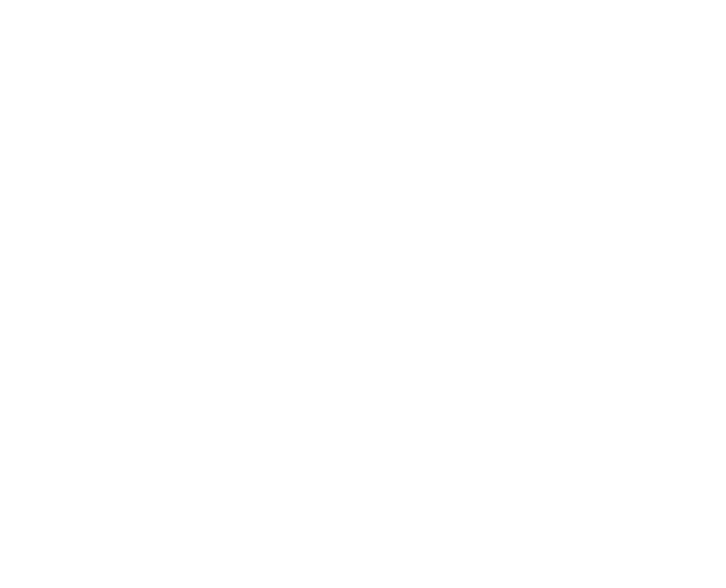 client logo summit